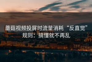 蘑菇视频投屏时流量消耗“反直觉”规则：搞懂就不再乱