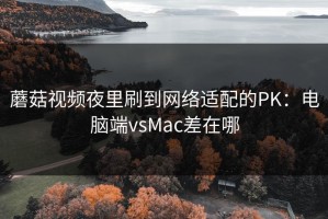 蘑菇视频夜里刷到网络适配的PK：电脑端vsMac差在哪
