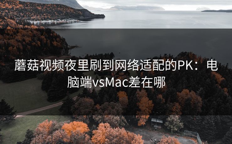 蘑菇视频夜里刷到网络适配的PK：电脑端vsMac差在哪
